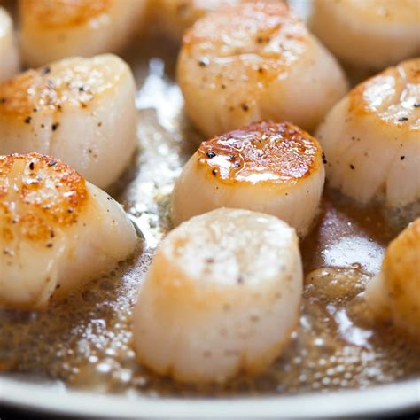 Recipe Low Calorie Small Scallops : Pan sear your scallops in a small ...