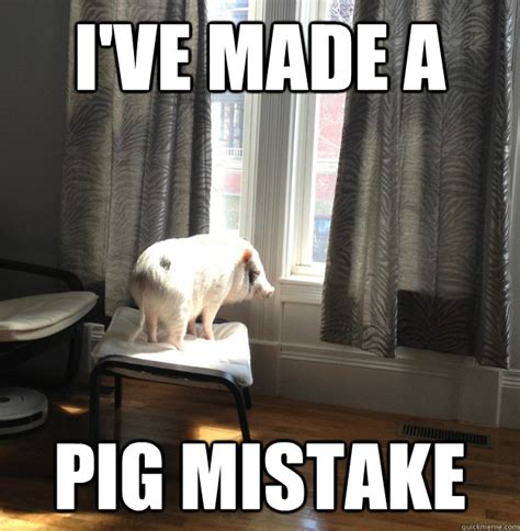 Regret Pig memes | quickmeme