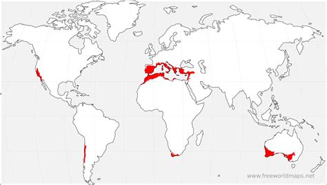 Biomes Map of the World