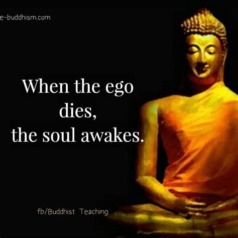 When the ego dies, the soul awakes. | Buddha quotes inspirational ...