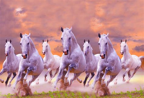 30+ Seven Horses Wallpaper Gif