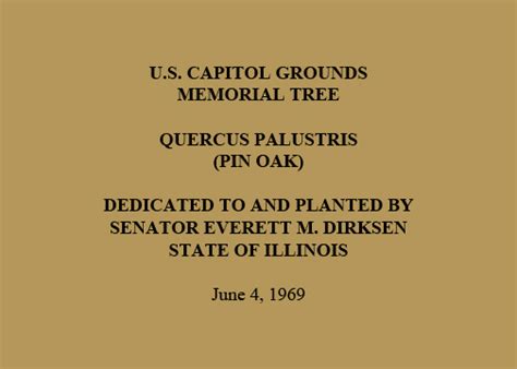 Senator Everett Dirksen Tree | Architect of the Capitol