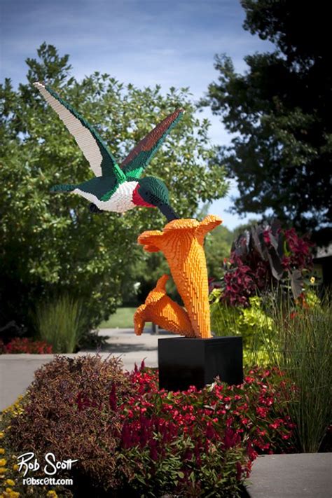 Lego Hummingbird | Rob Scott, LLC Photography