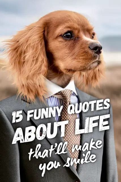 15 funny quotes about life that'll make you smile - Roy Sutton