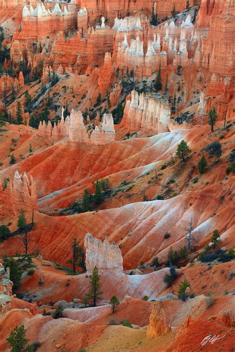 D254 Hoodoos in Bryce Canyon National Park, Utah | Randall J Hodges ...