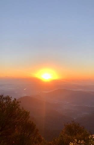 Mt Warning Summit Trail - Aussie Bushwalking