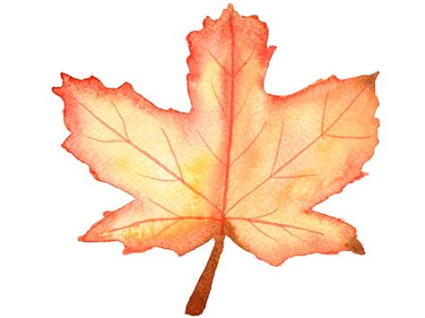 How to Paint an Autumn Leaf in Watercolour | Emily Wassell