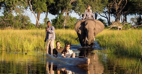 Okavango Delta safari in Botswana - Information for your Botswana holiday