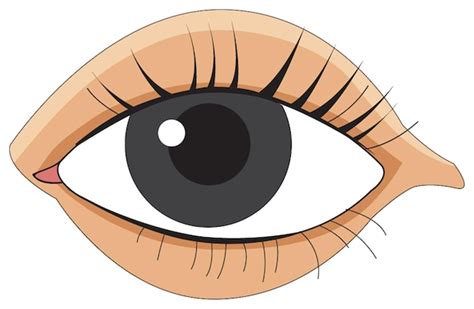 Eyes Clipart Images