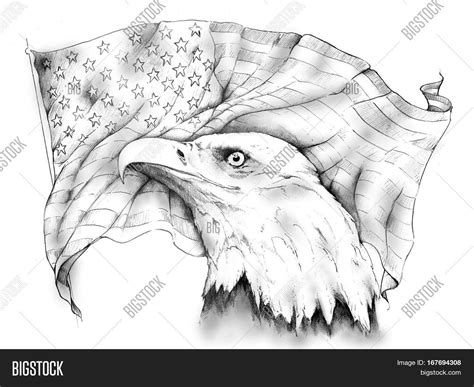 Bald Eagle Flowing Image & Photo (Free Trial) | Bigstock