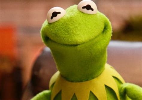 Kermit Memes Wallpaper