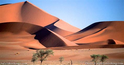 10 Interesting Namib Desert Facts – SafariBookings