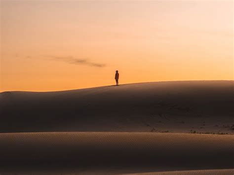 Desert Sunset Silhouette Hills Sand 4k Wallpaper | TOPpng