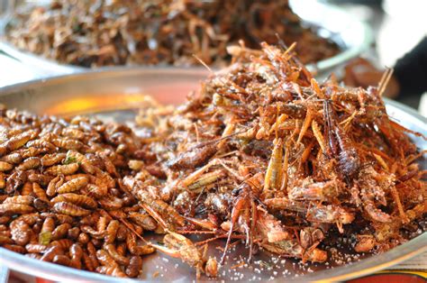 The Rise Of The Incredible Edible Insect | Popular Science