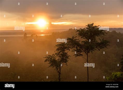 The magical sunset with tree on mountain Stock Photo - Alamy