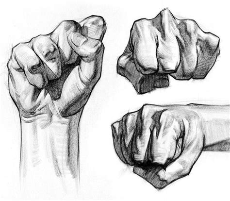 Fist Drawing Reference and Sketches for Artists