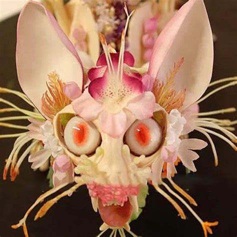 30pcs/pack japanese monkey face orchid seeds garden dragon flower seeds ...