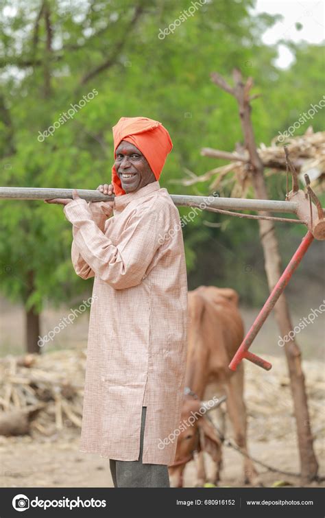 Indian Farmer Yoke Oxen Farming India Happy Farm Worker Carry Stock ...