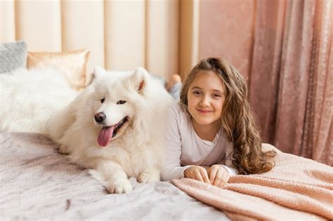 Premium Photo | Home portrait of cute child hugging with dog on the sofa