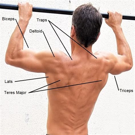 Top 3 Pull Up Variations - FitBar Grip, Obstacle, Strength Equipment