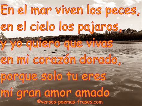 VERSOS Y POEMAS DE AMOR.: POEMAS CORTOS DE AMOR 69.