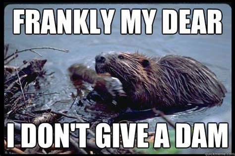 Uncaring Beaver memes | quickmeme