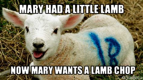 23 Funny Sheep Memes, Botch