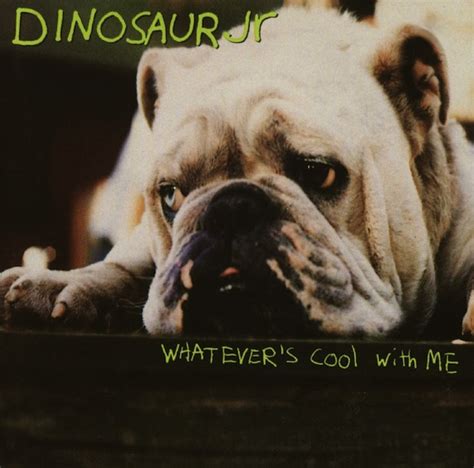 Dinosaur Jr. Albums From Worst To Best