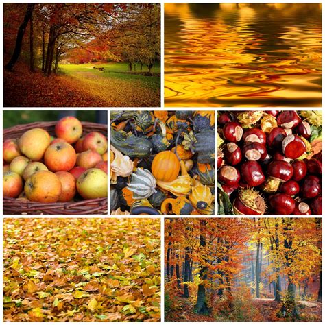 Autumn Collages Wallpapers - Wallpaper Cave