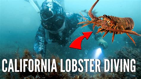 California Lobster Diving {My First Time!} - YouTube