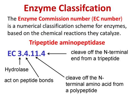 Protein Chemistry - online presentation