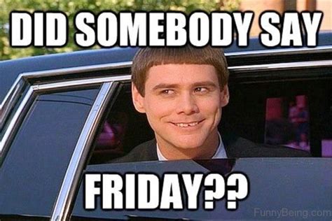 happy friday memes work friday animal meme friday meme gif friday movie ...