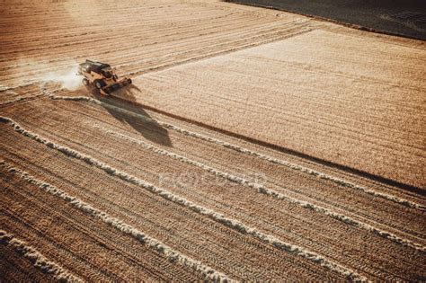 Field harvesting on the fields — seed, corn - Stock Photo | #412905860