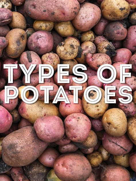 Types Of Potatoes