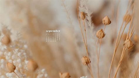 September Calendar In Buds Flowers Background September, HD wallpaper ...