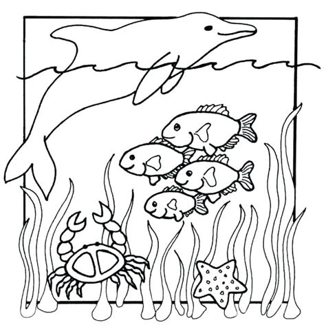 Underwater Animals Coloring Pages at GetColorings.com | Free printable ...