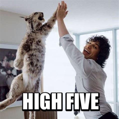 High five meme | Humor divertido sobre animales, Imágenes divertidas de ...