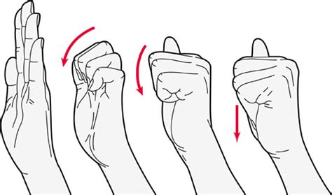 Exercises for the fingers, hands and wrists | Versus Arthritis