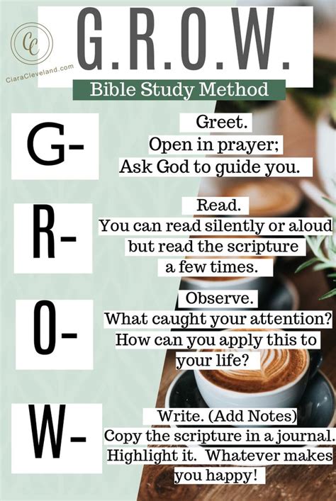 How to Study the Bible | Bible study methods, Bible, Bible study