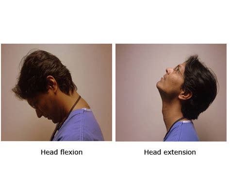 Head Flexion and Extension