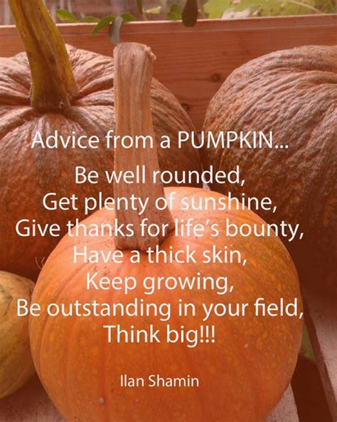 Pumpkin Quotes And Sayings - ShortQuotes.cc