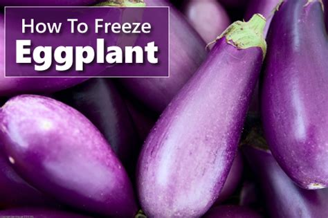 How To Freeze Eggplant