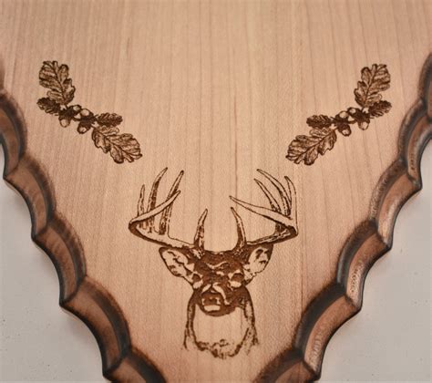 Arrowhead Antler Taxidermy Plaque- Engraved Hardwood ...