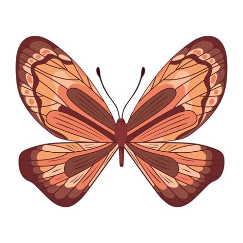 orange butterfly icon 2739868 Vector Art at Vecteezy