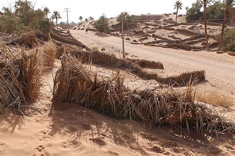 What is Desertification? - WorldAtlas