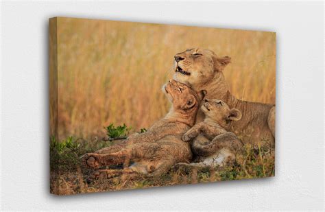 African Safari Canvas Wall Art Design Poster Print Decor for | Etsy