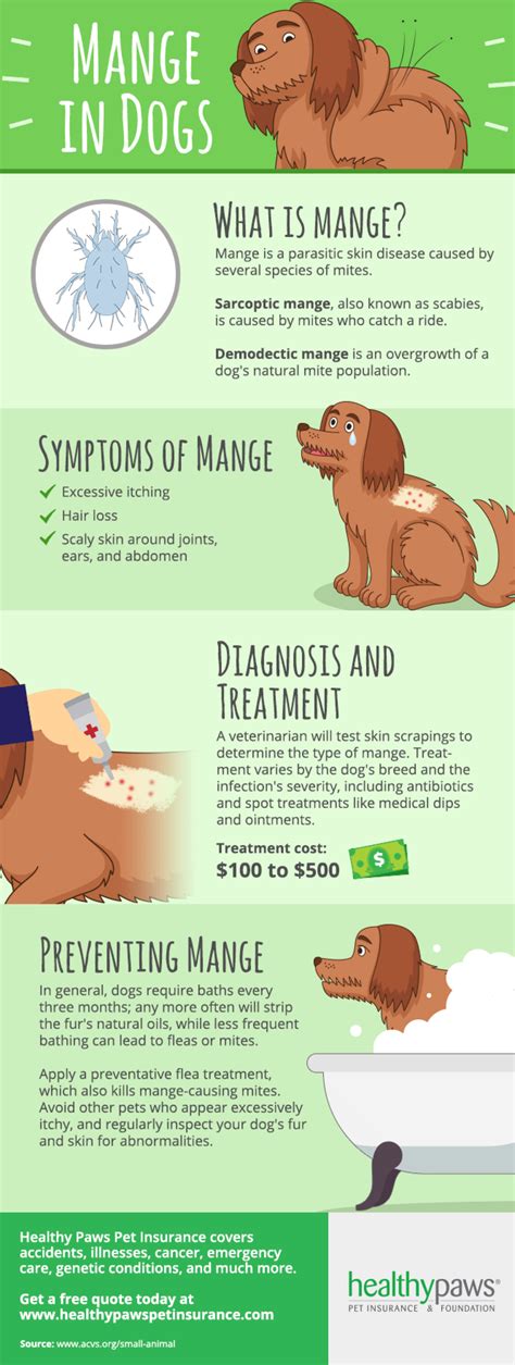 Pin by Amber Tomory on Dog health | Dog mange, Vet medicine, Vet technician