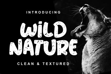 Wild Nature Font ~ Display Fonts ~ Creative Market