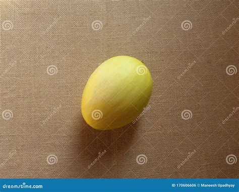 Sun melon fruit isolated stock photo. Image of berry - 170606606