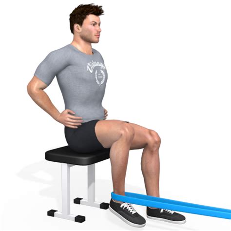 Resistance Band Hamstring Curls Seated Video Exercise Guide